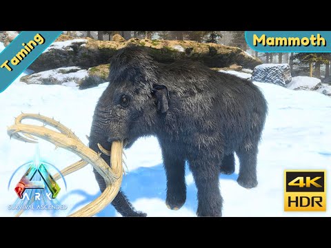 ARK Survival Ascended : Tame a Mammoth