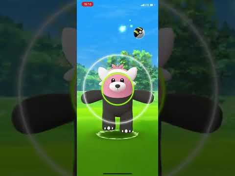 Stufful community day research completed