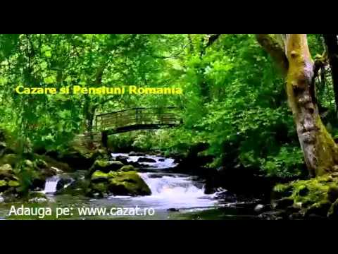 Cazare Bacainti, Alba - Cazat.ro