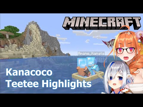 Felix172's Insane Minecraft Coco Clips
