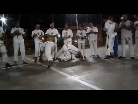 Bidiu no jardim Mangueiral !!!