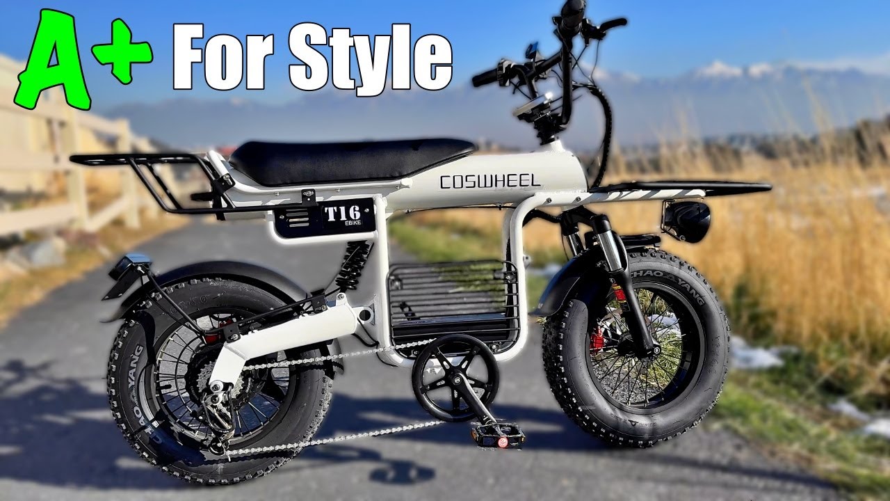 Coswheel T16