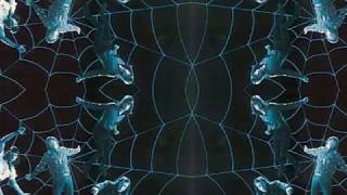 The Seeds - Rollin' Machine.