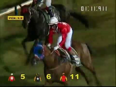 The Amazing Mauritius Cup winner EL COMANDANTE