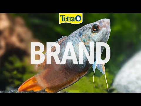 Миниатюра изображения товара Корм для рептилий Tetra ReptoDelica Shrimps / 169241/708934 (250мл)