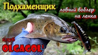 Как ловить ленка в августе 2020
