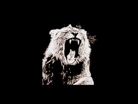 Martin Garrix & Botnek & 3LAU - Vikings Animals (Dj MaJa & Chupwell Mashup)