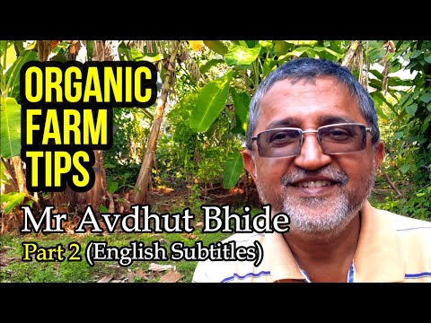 Part 2 - Life on an Organic Permaculture Farm - Cool Story of Avdhut Bhide #agriculture #organicfarm