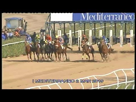 Galoppo Corse del 2 MARZO 2019