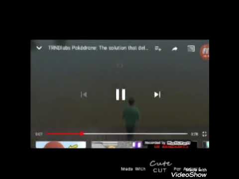 Mongo e Drongo ln Titanic