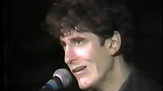 Wall of Voodoo - Live Performance