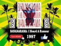 Bananarama - I Heard A Rumour  (Radio Version)