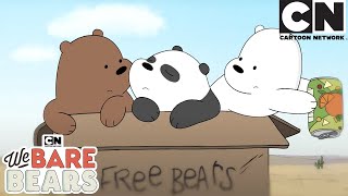 Young Cubs - We Bare Bears | Cartoon Network | Cartoons for Kids