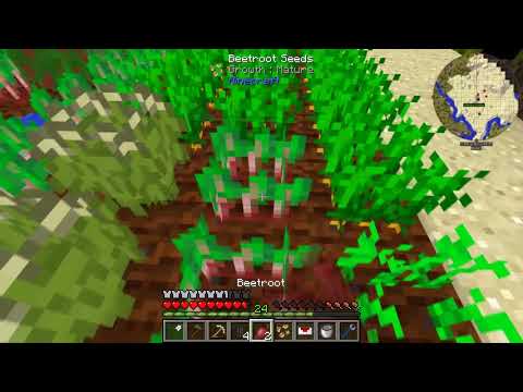 How to set up an oil generator (D20 Actually additions)