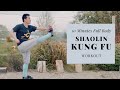 10 Minutes Full Body Kung Fu Workout at Home - No Noise, No Equipment (45 Sec Interval Training)