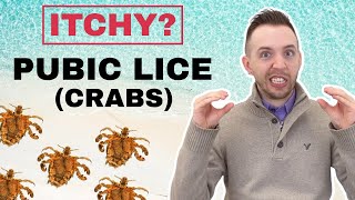 Crabs STD (Pubic Lice) - Symptoms & Treatment Of Pubic Lice