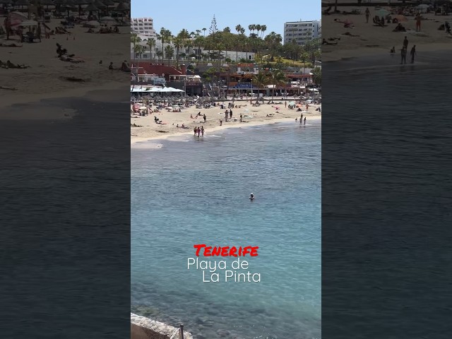 Vídeo relacionado con adrium Lienzo decorativo (60 x 40 cm), diseño de costa de la Costa Adeje, Tenerife, Islas Canarias, España (183456098)