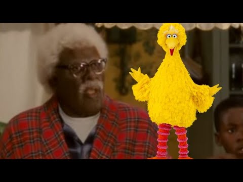 Ay Big Bird, Calm Da Hell Down | I Can Do It Bad All By Myself