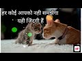Tum Sath Ho Jab Apne Song Motivation Song Status