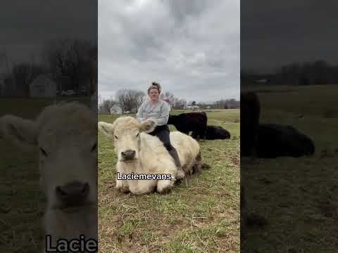 Gas prices are rising!