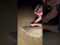 Almost Bit Sharkfishing Fishing Sharklife Lbsf Giantfish Fish Sharks Sandtiger