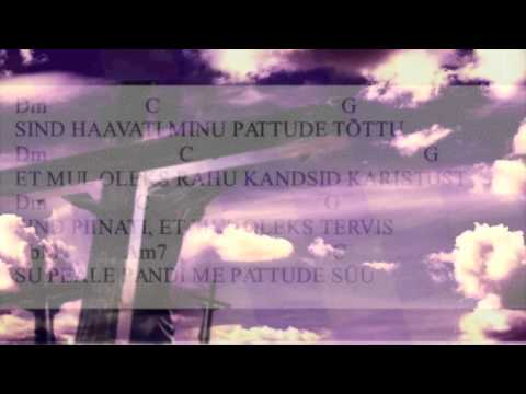 Timo Lige - Need on minu käed