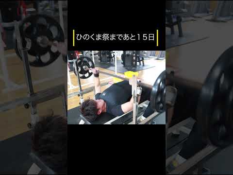 ひのくま祭まであと１５日！　#shorts