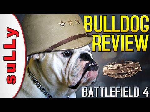 Bulldog Review: Not as Good as the Hype (Best Loadout & How to Unlock Included) - Battlefield 4