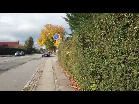 MongoTV_9936 - MIN GÅTUR - Del 4 - Fredag 14.Oktober 2022 - Går En Tur og Spiser FROKOST PIZZA