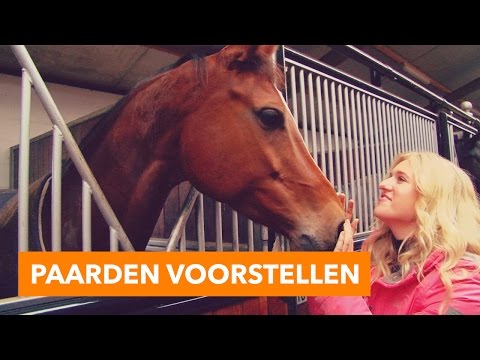 , title : 'Paarden voorstellen | PaardenpraatTV'