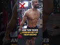 The Huge Mistake Of Bicep Curls