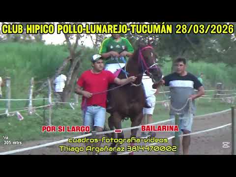 Por si largo vs bailarina (CLUB HIPICO POLLO-LUNAREJO-TUCUMÁN)