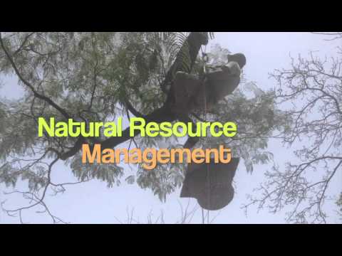 SBAPromo video 3DD76855 E57A 4434 82EF 9F754FBCB81E