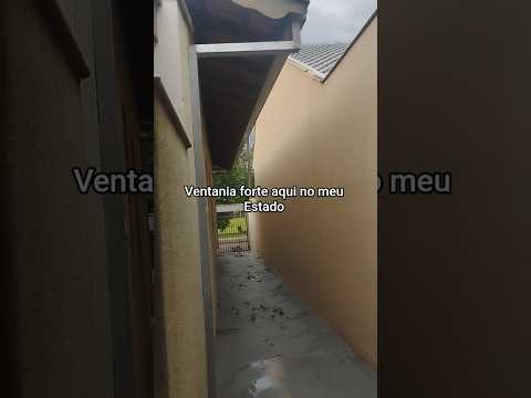 Ventania forte aqui no meu estado #Ventania #cambé #paraná