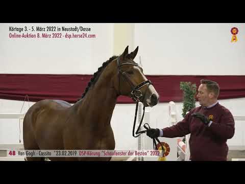 48 Van Gogh - Cassito