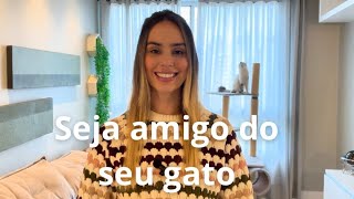 Como ser amigo do seu gato.