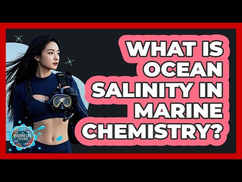 What Is Ocean Salinity In Marine Chemistry? - The Marine Life Explorer