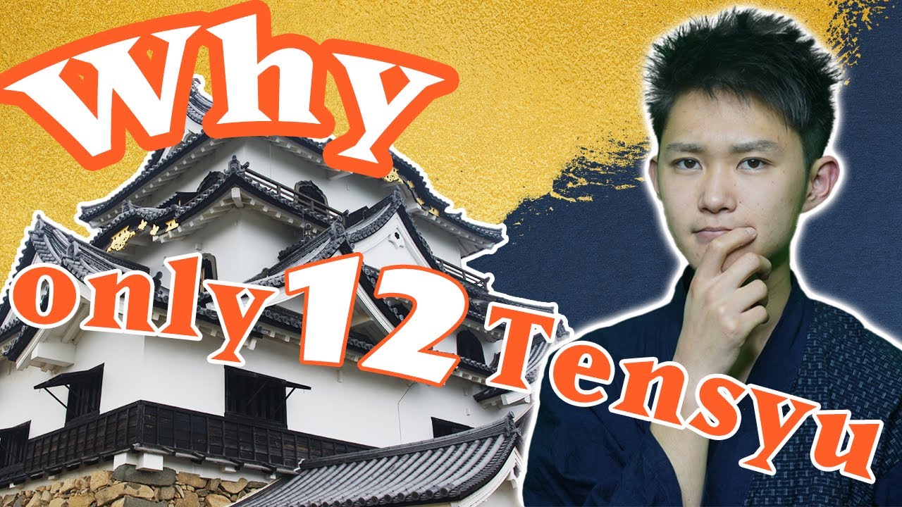 Why is there a few Japanese Castles with Tower ?