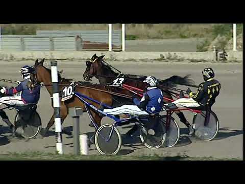 Napoli Trotto 03/02/2023 - 2ª corsa