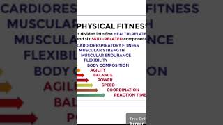 The 11 Fitness Components!