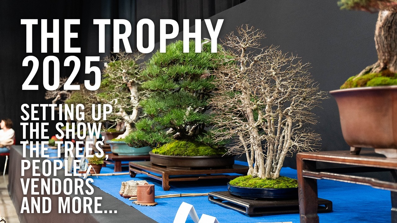 The big fat Trophy film of 2025