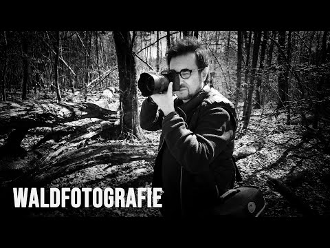 Mein Vorgehen und Tipps bei Schwarz-Weiß-Waldfotografie.