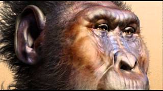 Storia evoluzione uomo