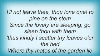 15561 Nina Simone - Last Rose Of Summer Lyrics