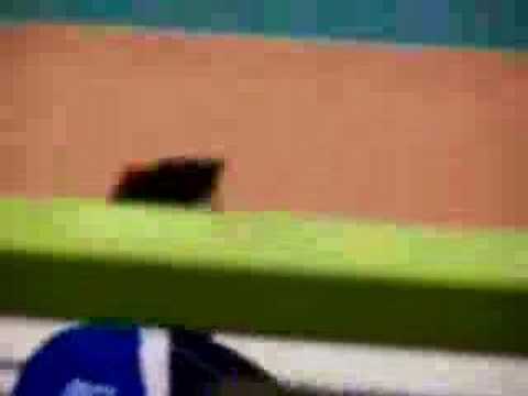 Jadar Radom - Skra Bełchatów 2