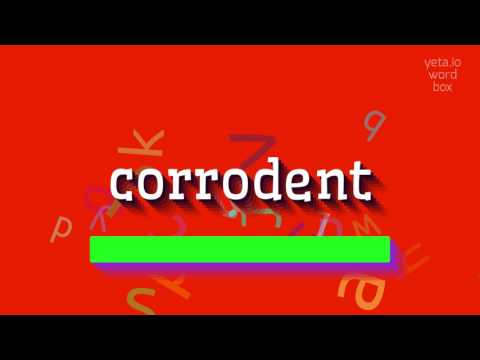 How to say "corrodent"! (High Quality Voices)
