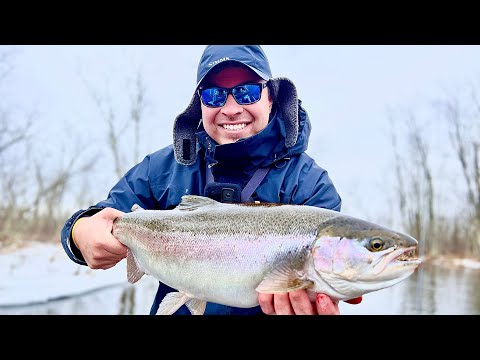 Float Fishing For Winter STEELHEAD 4K