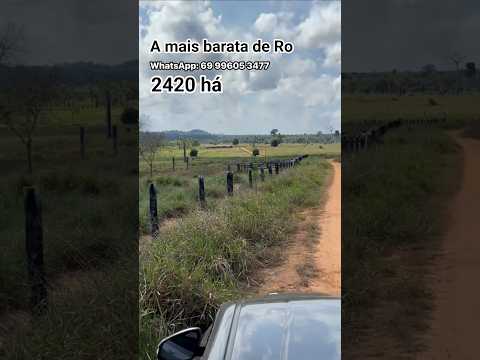 Fazenda Barata a venda de 1000 alqueires, Cujubim - Rondônia