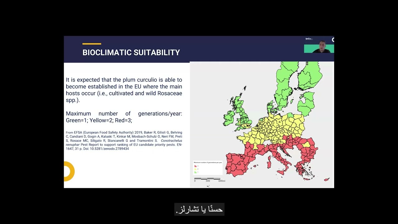 Statistically sound survey of Conotrachelus nenuphar - Arabic subtitles