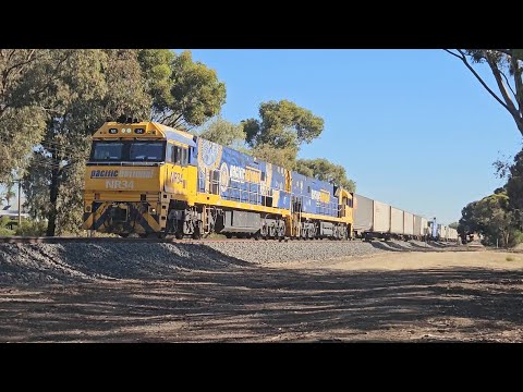 3PM6 PN up "Linfox Express #2" (NR34, NR7), Perth to Melbourne, 1705, 14/3/25, Horsham VIC